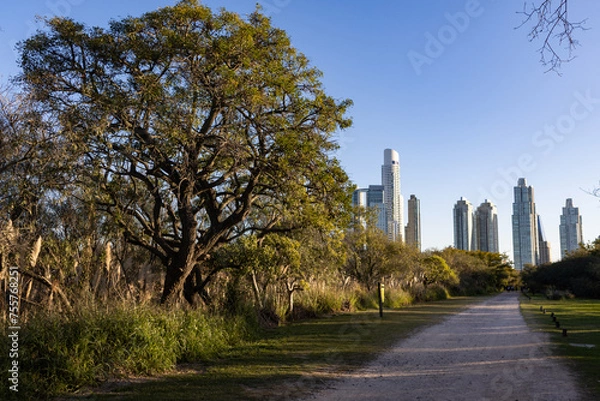 Obraz Empty Trail at the Buenos Aires Ecological Reserve with a View of the Modern City Skyline
