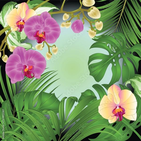 Fototapeta Design frame of flowers orchids Phalaenopsis and tropical leaves palm,philodendron watercolor vintage vector illustration  editable hand draw