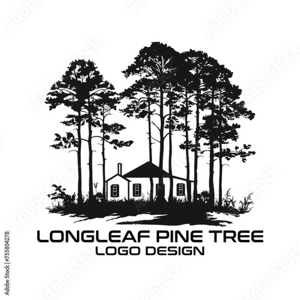 Fototapeta Longleaf Pine Tree Vector Logo Design