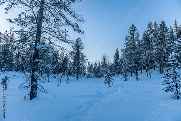 Obraz Schneelandschaft 