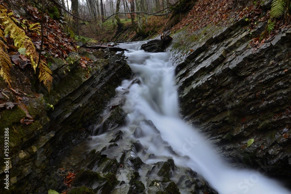 Fototapeta waterfall in the forest of Poloniny