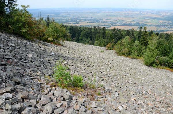 Obraz Mountains in Poland (Góry Świętokrzyskie, Łysa Góra)