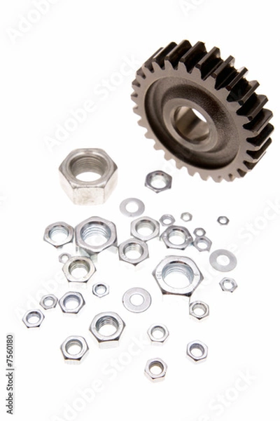 Fototapeta Gear and nuts on white