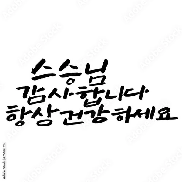 Fototapeta 캘리그라피 스승님 감사합니다 항상 건강하세요 손글씨 글씨 감성글귀 타이포 스승의날 선물 감사 카드 선생님 사랑 편지