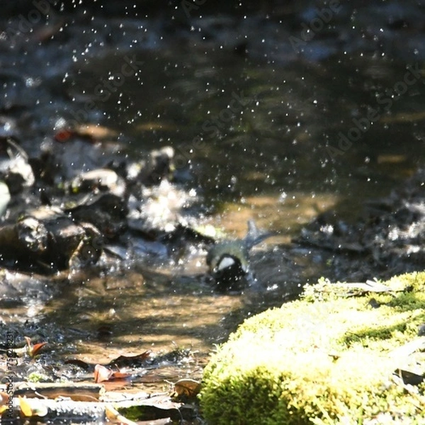 Fototapeta 平戸永谷川