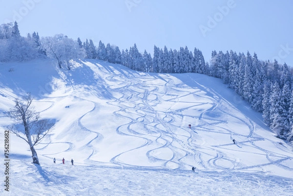 Obraz 晴れた朝の氷ノ山スキー場の風景 鳥取県 若桜町