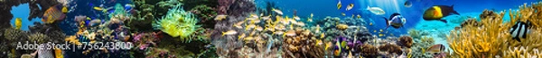 Obraz Akwarium panoramiczne