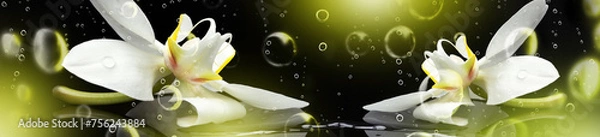 Obraz Storczyki na tle abstrakcji