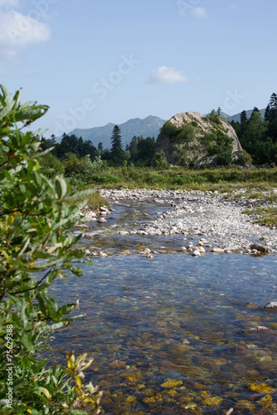 Obraz Beautiful mountain river Caucasus Nature Reserve