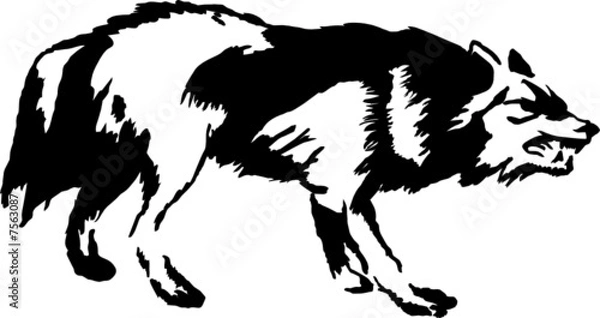 Obraz vector angry wolf