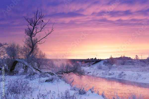 Obraz Winter dawn in the Moscow region. Frost