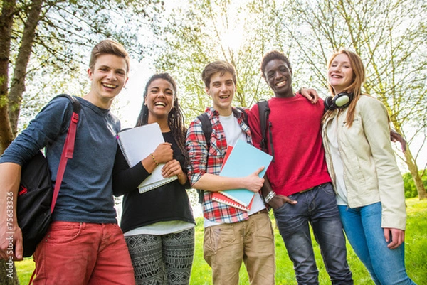 Obraz Multiethnic Teenage Students at Park