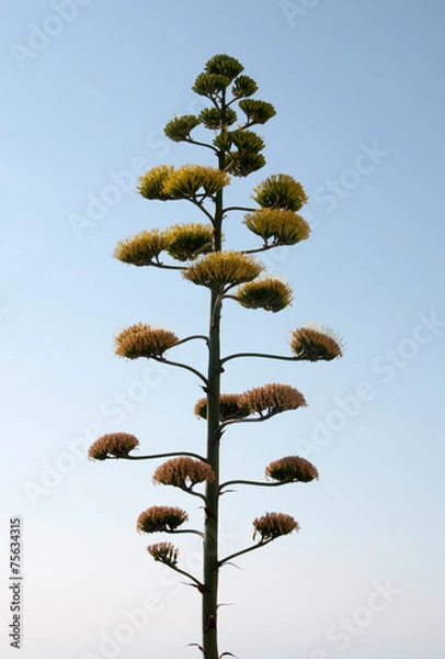Obraz Fresh blue and green waves with white sea foam in color perspect