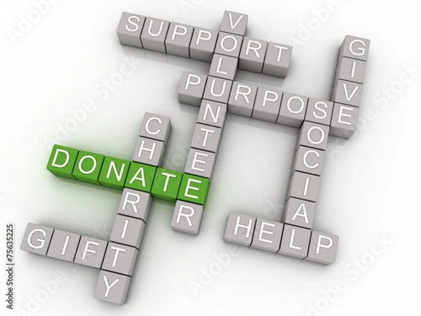 Obraz 3d imagen Donate issues concept word cloud background