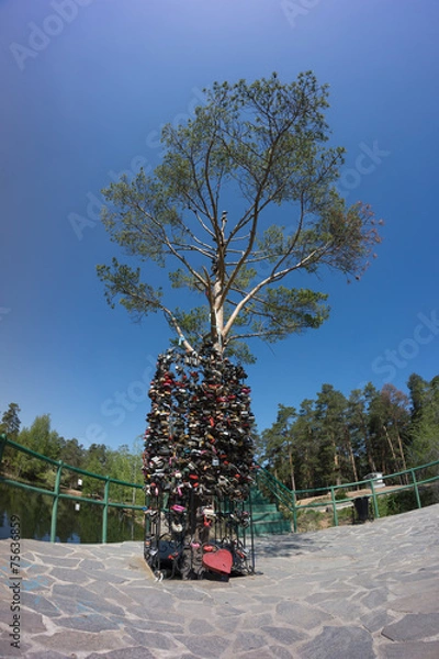 Fototapeta Wedding tree