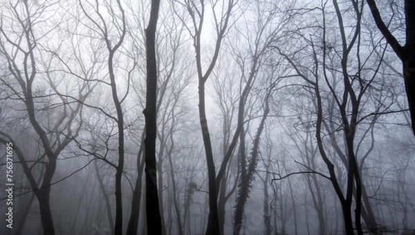 Fototapeta Fog in a Dark Forest. Dark Creepy Forest. Leafless Winter Trees. Halloween Woods.  Black Silhouette of Leafless Tree Crowns. Winter Landscape Without People. Black Trees on a Foggy Background. 