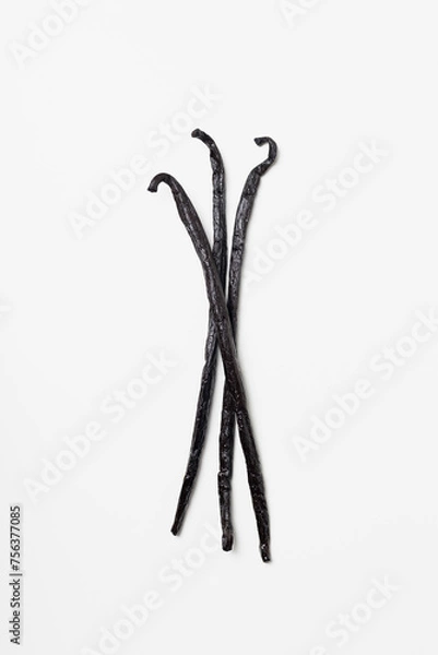 Obraz Vanilla beans on white background