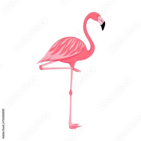 Obraz Pink flamingo.