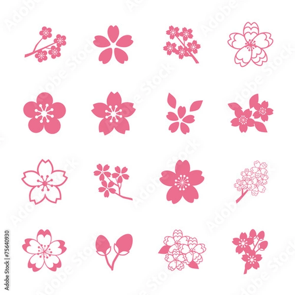 Fototapeta Ikona Sakura