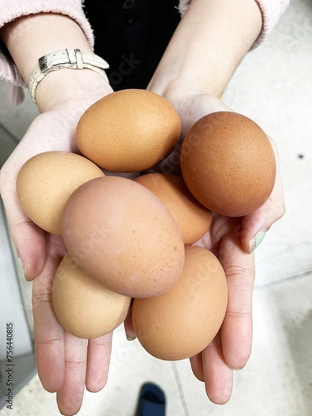 Fototapeta Boiled egg 