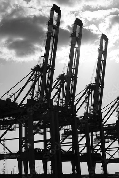 Fototapeta Silhouettes of harbor cranes against sky in Hamburg harbor