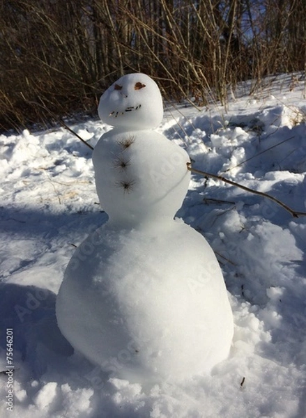 Obraz pupazzo di neve 