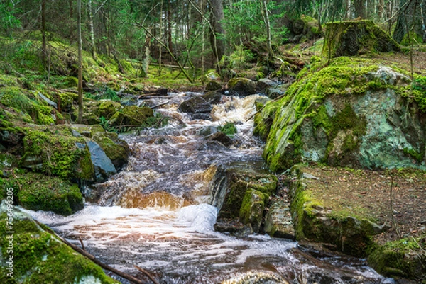 Fototapeta Small creek flushing through moss covered rocks