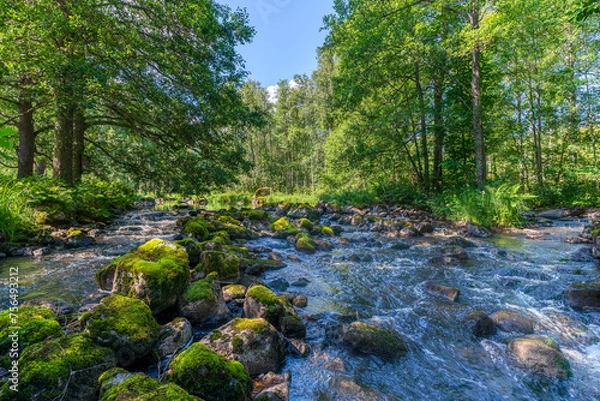 Fototapeta Scenic view of a creek with water flowing among moss covered rocks