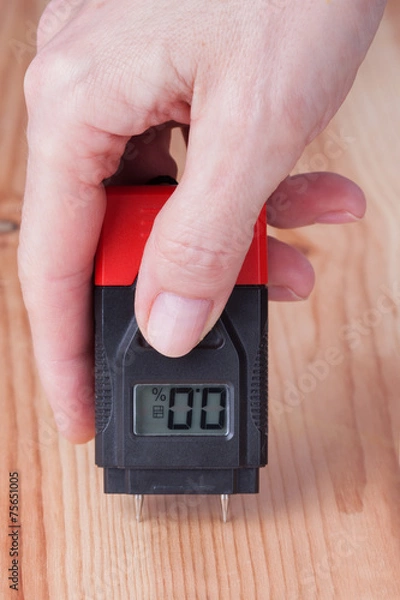 Fototapeta Weibliche Hand misst Feuchte im Holz