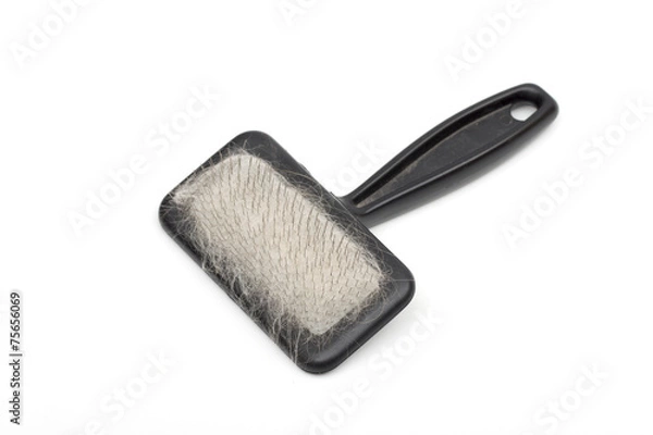 Obraz brush on the white background