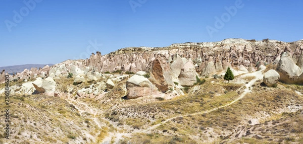 Fototapeta Devrent Valley. The Imagination Valley in Cappadocia