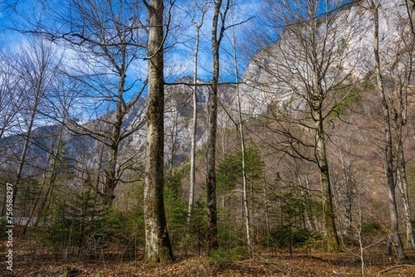 Obraz Leopoldsteinersee