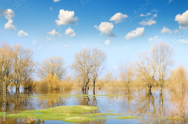 Fototapeta Spring high water