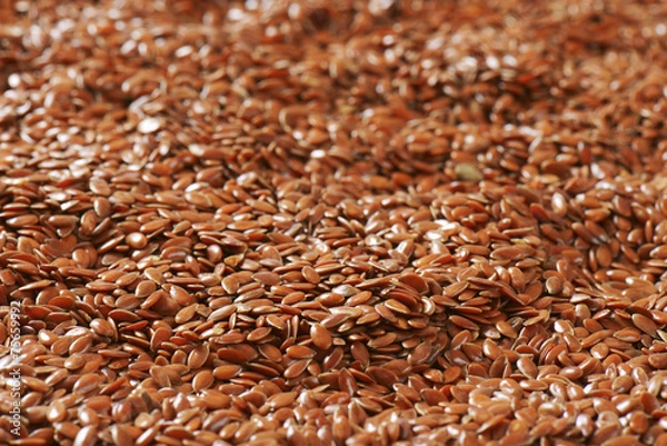 Obraz Brown flax seeds background