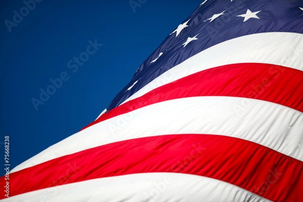 Obraz USA Flag