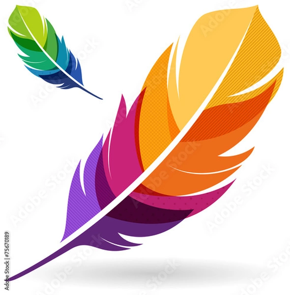 Obraz Kolorowe pióro