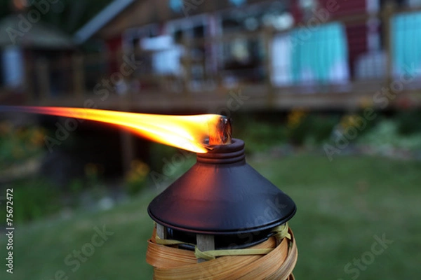 Obraz Tiki Torch Flame