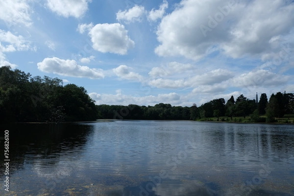 Obraz lake in the forest