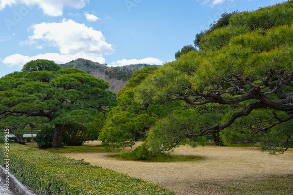 Obraz 伊勢神宮 風景 景色