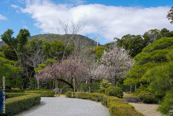 Obraz 伊勢神宮 風景 景色