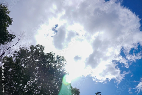 Obraz 伊勢神宮 風景 景色