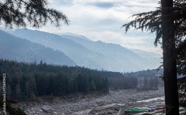Fototapeta winter forest in the mountains