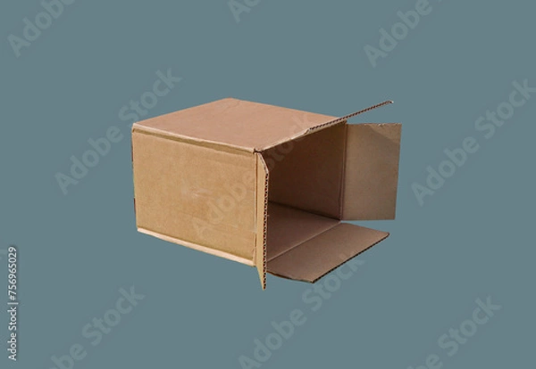 Obraz Cheap cardboard box.