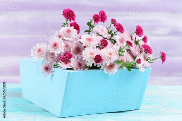 Obraz Beautiful flowers in box on table on purple background