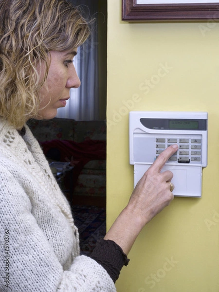 Fototapeta Pushing alarm. Home security