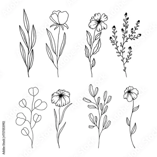 Fototapeta Hand Drawn Black And White Spring Flowers On White Background. Sketch. Doodle style	