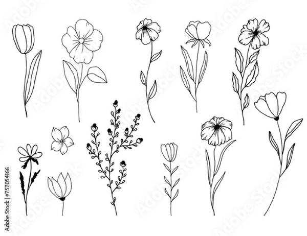 Fototapeta Hand Drawn Black And White Spring Flowers On White Background. Sketch. Doodle style	