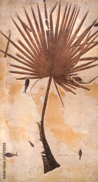 Obraz Fossil palm with fish