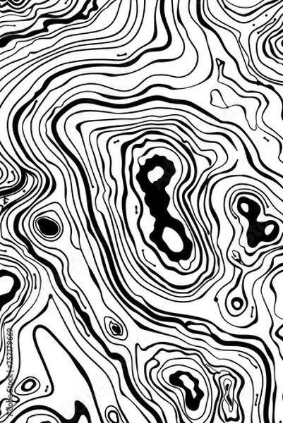 Obraz Visually striking black and white abstract piece resembling the fluidity of a topographic map