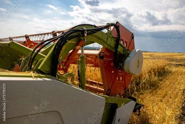 Obraz Close up view of combine harvester pouring a tractor-trailer with grain during harvesting